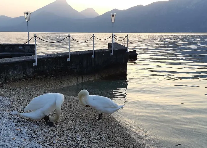 Ester شقة برنزوني سول جاردا