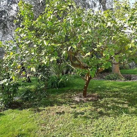 Ester Brenzone sul Garda