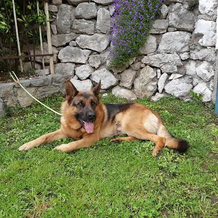 Ester Lejlighed Brenzone sul Garda